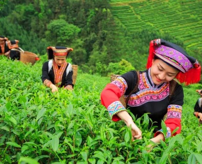 正宗瑶家恭城油茶来柳州啦！招牌菜只要19元！太适合柳州人啦