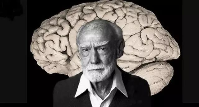 珠心算的训练并不只是计算能力，原来七大功能才是必学原因