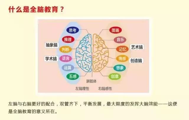 珠心算的训练并不只是计算能力，原来七大功能才是必学原因