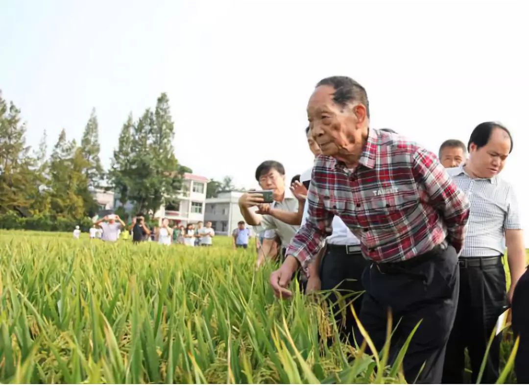 我！的！偶！像！超！硬！核