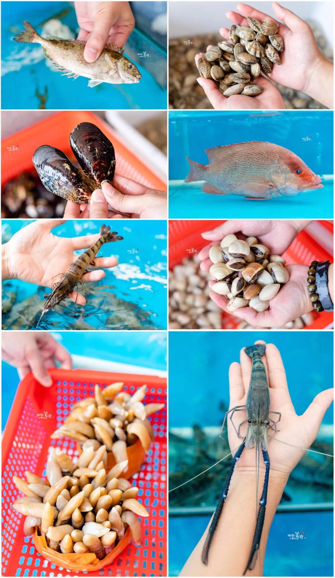 给虾超度-给婴灵超度的最佳时间