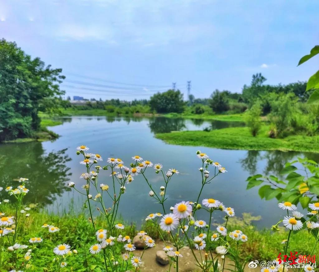 温江附近好玩的地方旅游景点（温江附近好玩的地方旅游景点成都）-第3张图片-昕阳网