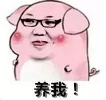 “二師兄”身價飆升！養(yǎng)豬嗎？給錢給地最高補(bǔ)助500萬