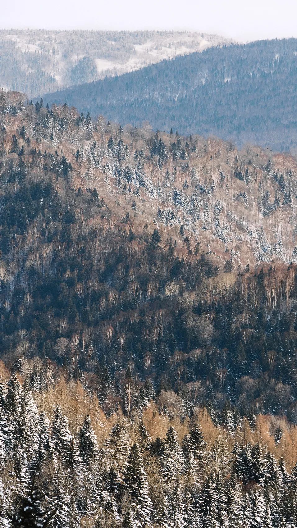 東北風景圖片「東北風景圖片大全 大自然」 - 榆樹網