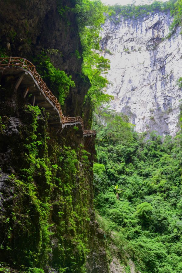 3层楼高的洞口,常年雾气弥漫,百色乐业白洞天坑等你来探秘