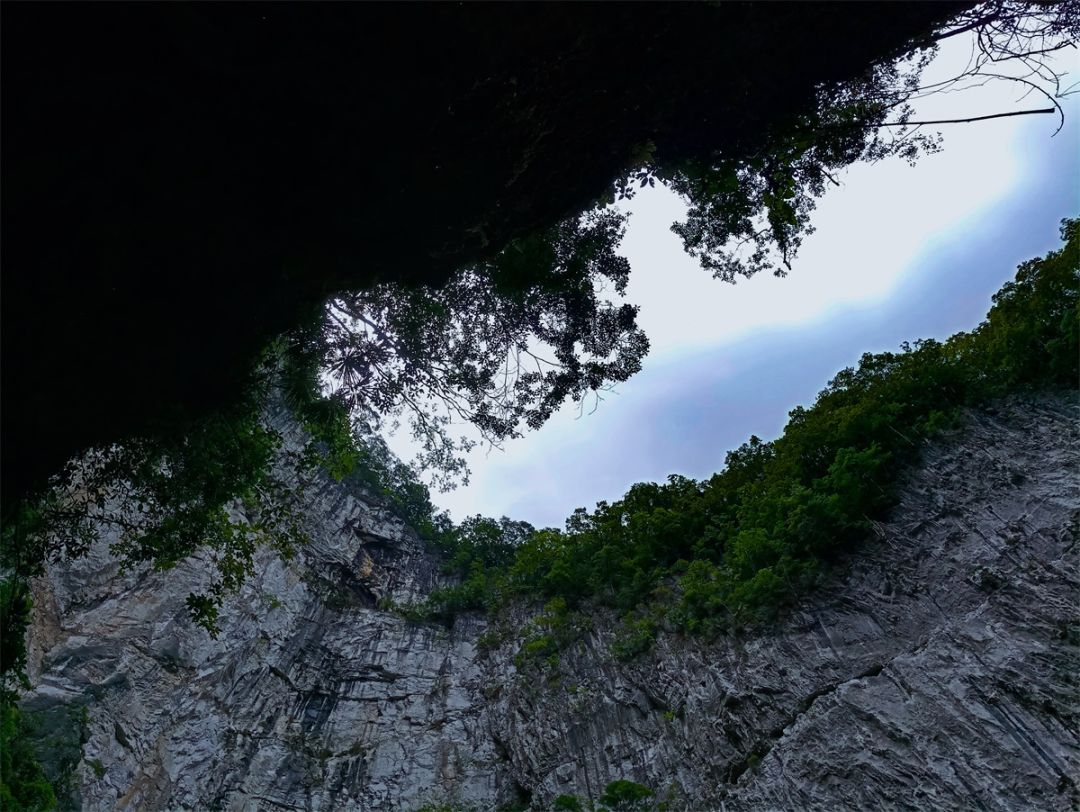 3層樓高的洞口,常年霧氣瀰漫,百色樂業白洞天坑等你來探秘