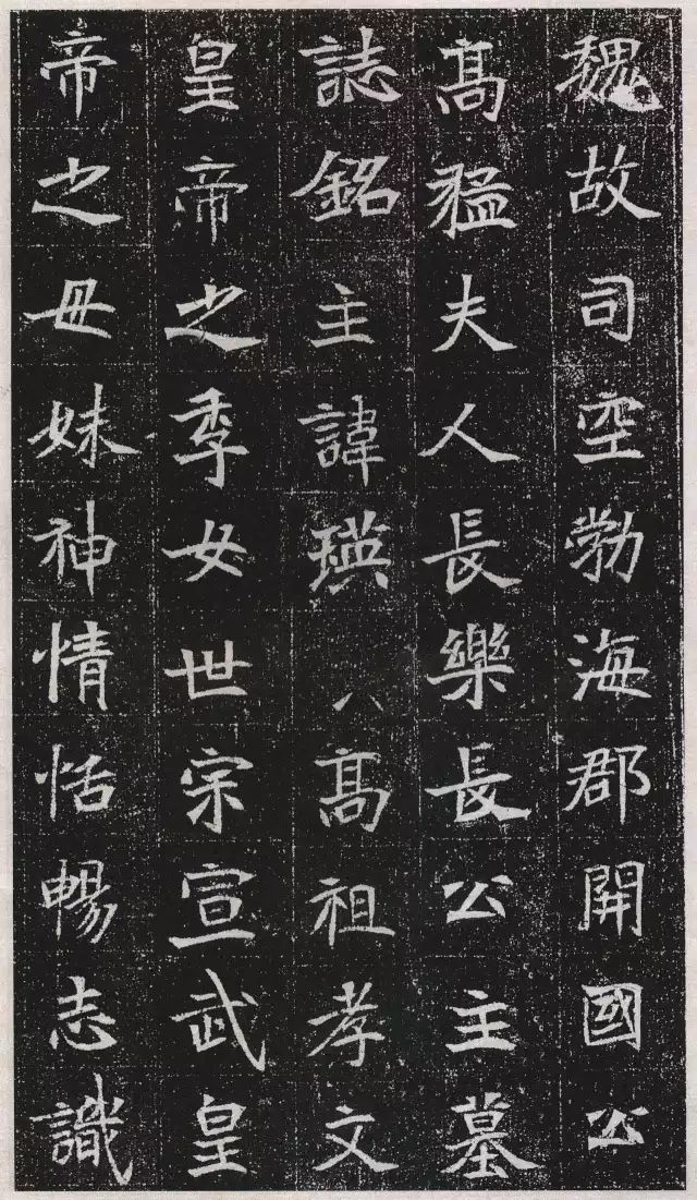 《长乐公主元瑛墓志》《元简墓志》《元譿墓志》《元显儁墓志》《元苌