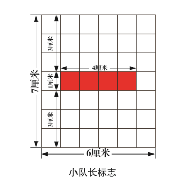 《中国少年先锋队标志礼仪基本规范》