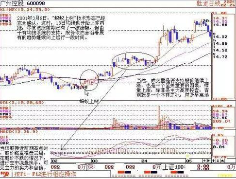 股票1000万手封死涨停板，资金却显示净流出，意味着什么？是主力出货，还是诱空吸筹？