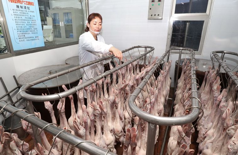 樟茶鸭价格送福利