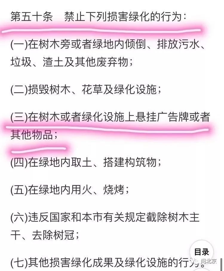 这里就像盘丝洞！一根根线遍地开花！快收拾了它……