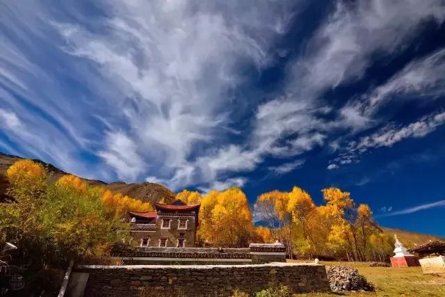 【消防宝典】今天下霜，傍晚出霜，注意野外火的安全！