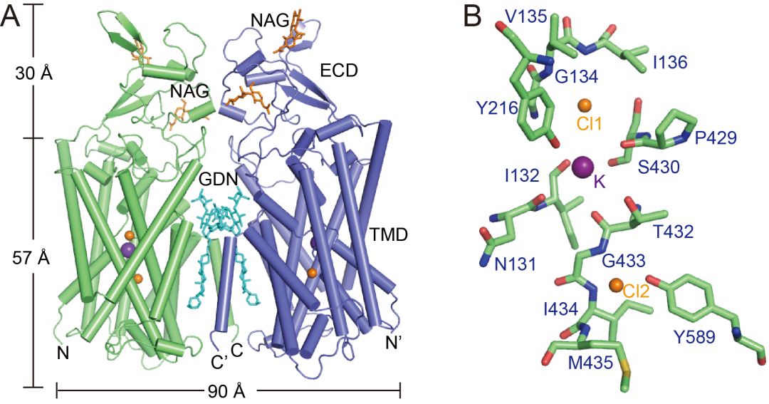 天津大学生命科学学院（Science）