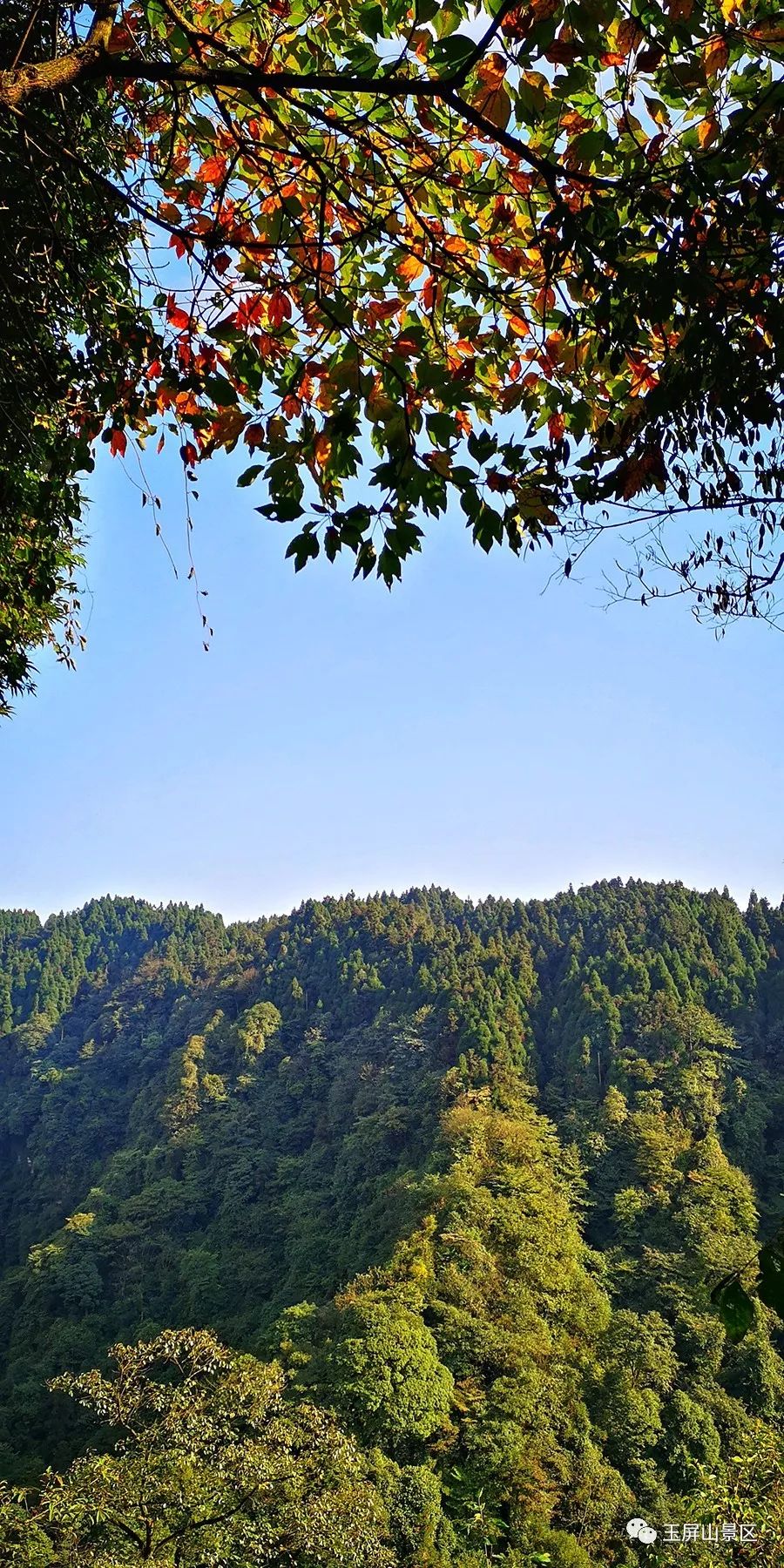 空山新雨后，天气晚来秋，这里的美景真惹人爱