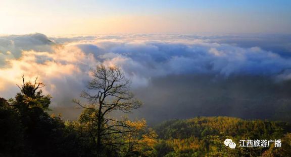 i自驾明月秋山赏情深寄纸鸢！明月山周末自驾招募令