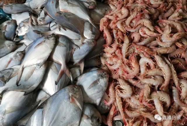 日照这种海鲜现在最肥美！附蔬菜、肉蛋、海鲜最新价格表