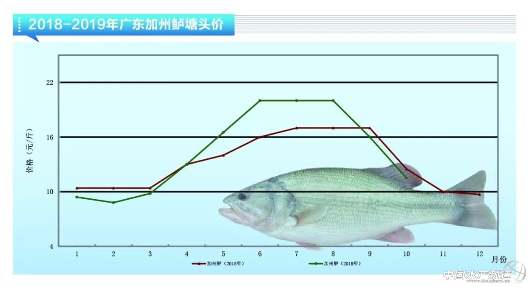 亏得惨亏到哭，大幅烂市！11月鱼价会雄起吗？