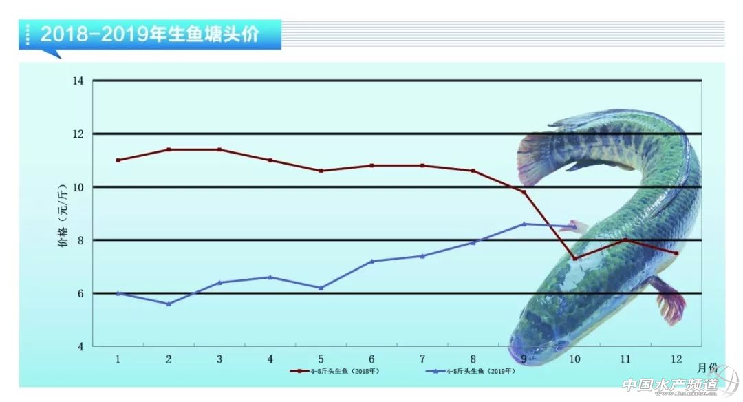 亏得惨亏到哭，大幅烂市！11月鱼价会雄起吗？