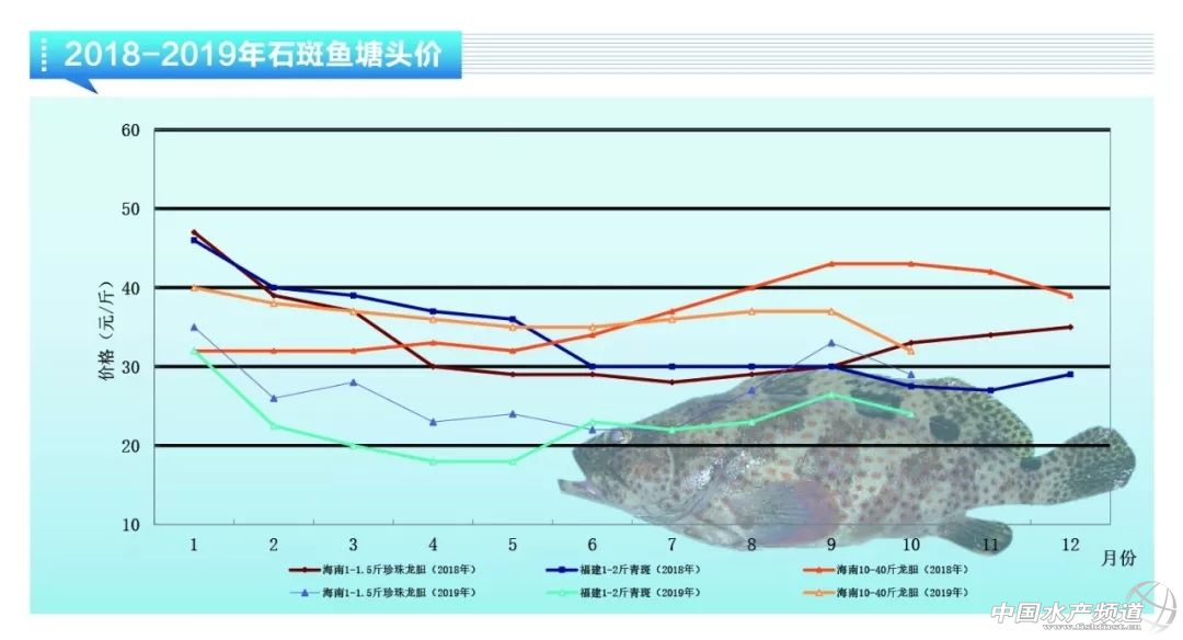 亏得惨亏到哭，大幅烂市！11月鱼价会雄起吗？