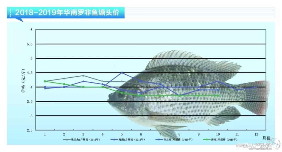 亏得惨亏到哭，大幅烂市！11月鱼价会雄起吗？