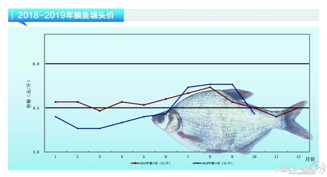 亏得惨亏到哭，大幅烂市！11月鱼价会雄起吗？