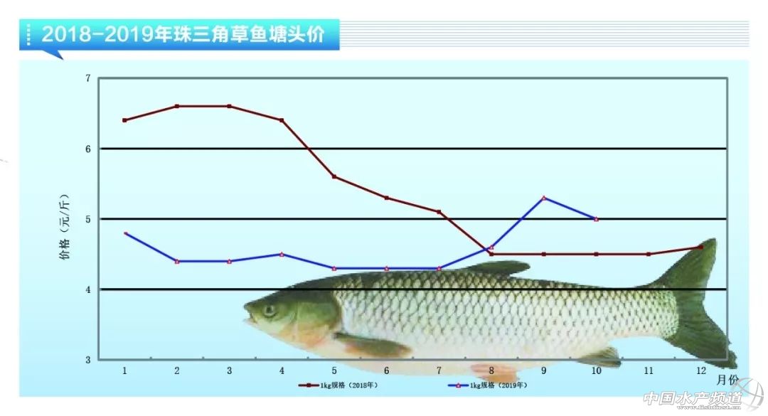 亏得惨亏到哭，大幅烂市！11月鱼价会雄起吗？