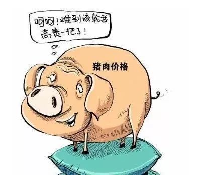 郴州今日猪肉多少钱「浙江今日猪肉价格是多少」