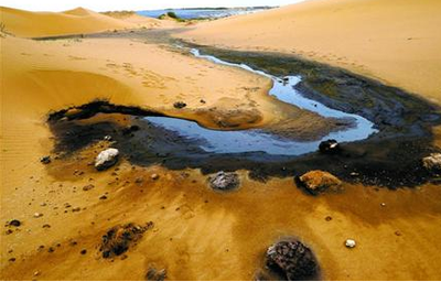 腾格里沙漠污染,腾格里沙漠污染事件