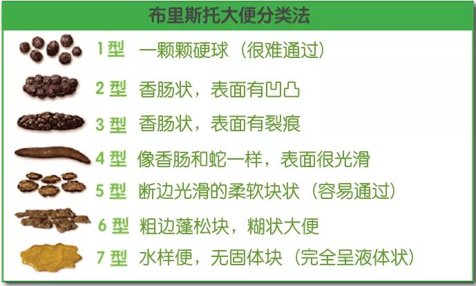 用10万张便便照就能建成首个大便数据库，你愿意分享自己的照片吗？