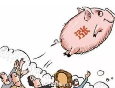 扬州地区今日猪价「扬州今日鹅价」