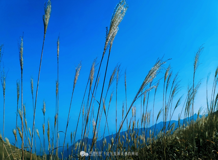 秋日武功山，一场盛大的遇见