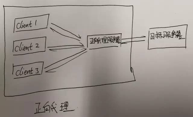 一文读懂并实操 Nginx 反向代理