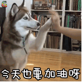 加油英文「加油英文口语怎么说」