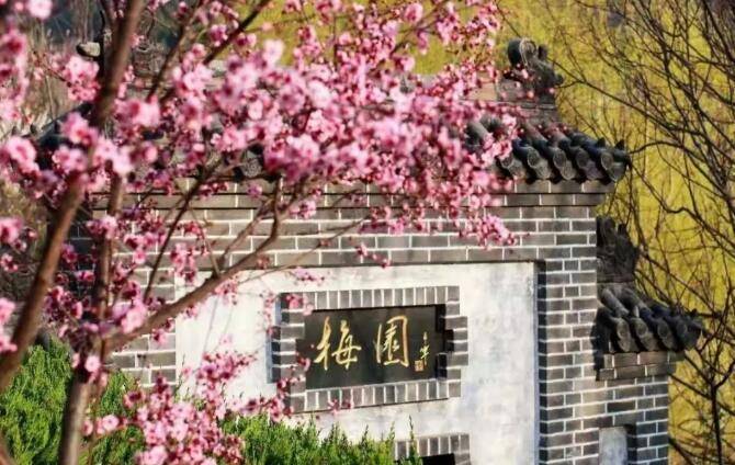 学长学姐带你游高校：山东艺术学院，全新的视角探访梅园