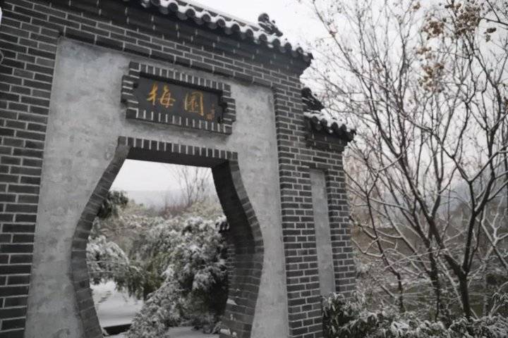 学长学姐带你游高校：山东艺术学院，全新的视角探访梅园