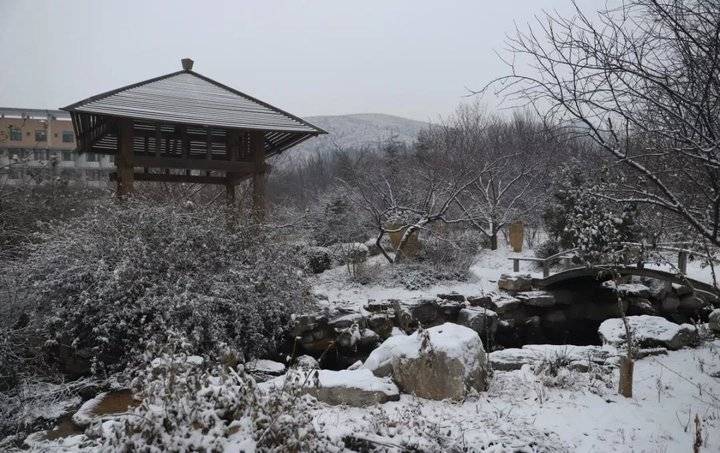 学长学姐带你游高校：山东艺术学院，全新的视角探访梅园