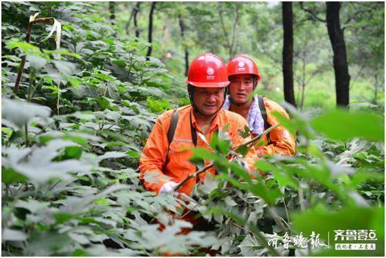 国网泰安供电公司张爱国：愿做泰山之光的守望者