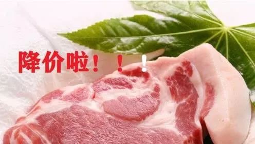 辽宁省生猪肉价格今日价「辽宁省猪肉价格还会涨吗」