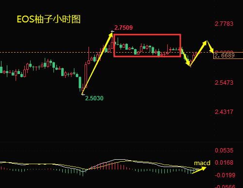 柚子币最新价格今日行情走势图（柚子币行情最新价格行情）-第2张图片-科灵网