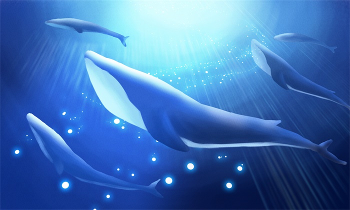 鲸鱼的心跳每分钟多少「心跳每分钟57正常吗」