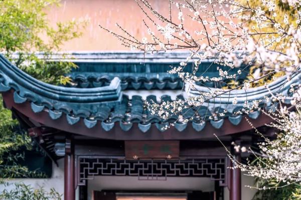 【九】榆柳荫后檐,桃李罗堂前.