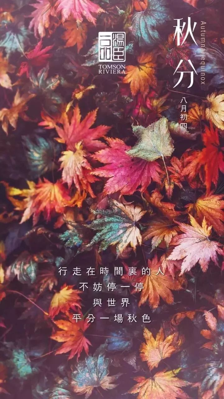 我要吹爆这个亿万豪宅的文案