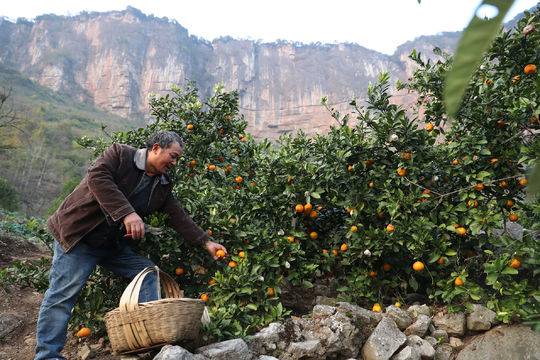 321走多少人曾爱慕(迈进高铁时代——毕节人的“出山”往事)