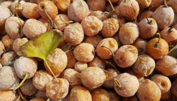 吃白果的禁忌(白果正确吃法) - 业奇网