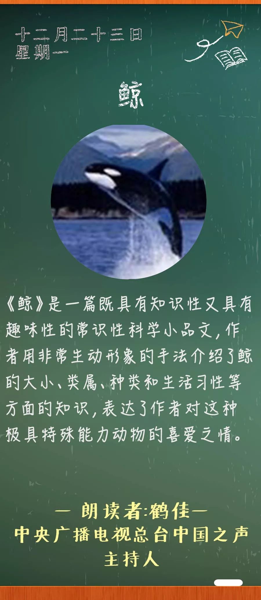 鲸原文图片