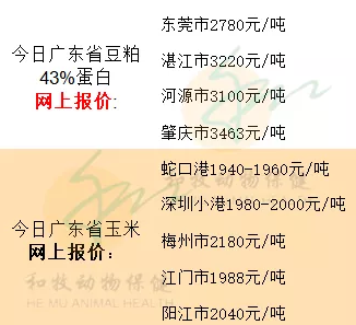 淮安猪价今日，淮安汽油价格今日价
