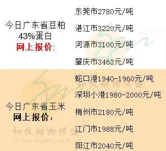 全国猪价跌涨互现！广东梅州、云浮涨至19元/斤「强微微丸苞丁乳特约」