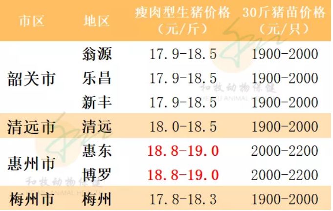 淮安猪价今日，淮安汽油价格今日价