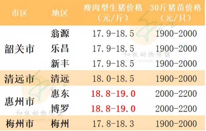 全国猪价跌涨互现！广东梅州、云浮涨至19元/斤「强微微丸苞丁乳特约」