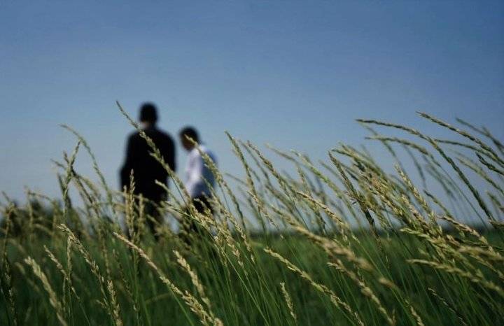 从边疆回城的知青：一段辛酸往事（地标70年）